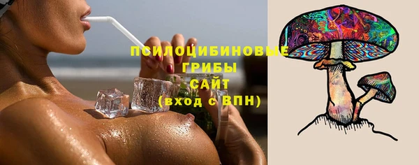 винт Тайга