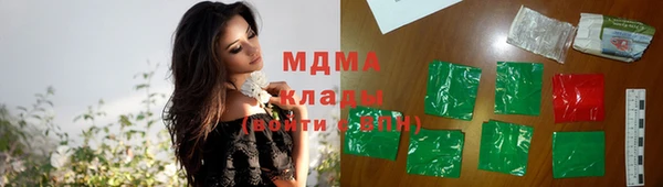 винт Тайга