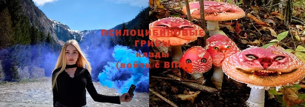 jwh Тавда