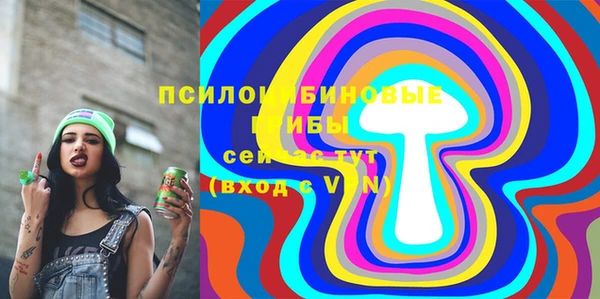 винт Тайга