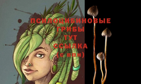 мефедрон Сясьстрой