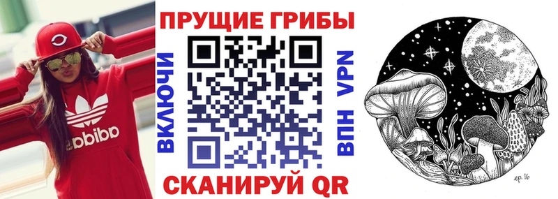 Псилоцибиновые грибы GOLDEN TEACHER  дарнет шоп  Щигры 