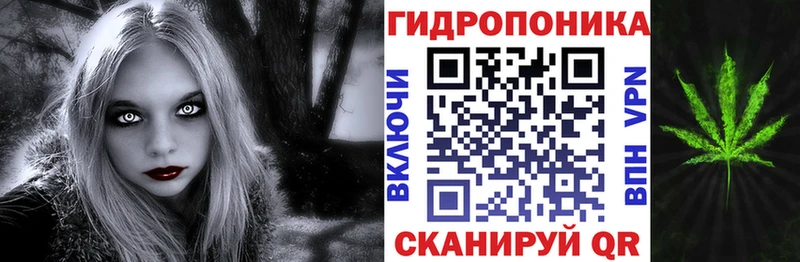 Бошки Шишки семена  blacksprut зеркало  Щигры  как найти закладки 